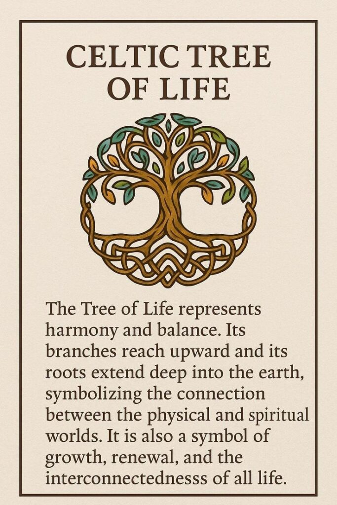 WhatsApp Image 2025 12 16 at 11.03.12 AM 3